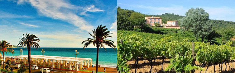 Opplev Côte d'Azur (Rivieraen), vingårder og vinslott